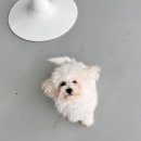 아이조아요양호텔 이미지