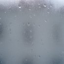 스타모터스 이미지