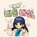 산강아지 | 🐶 강아지 키우면서 가장 잘 산 육아템 2가지! 자동급식기 + 천연 탈취제 후기