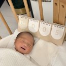 로열프린세스산후조리원 이미지