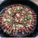 소양강민물집 이미지