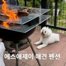서울 근교 애견 동반 독채 펜션 에스앤제이 내돈내산 솔직 후기