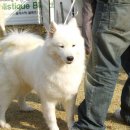 연암축산 이미지