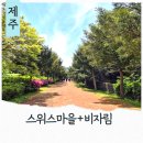 생명나무숲 | 제주도 성수기 여행지 조천 스위스마을 구좌읍 가볼만한곳 비자림 숲길