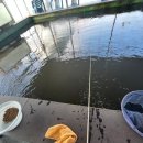 상무낚시터 이미지