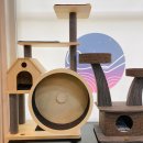 애견마트 이미지