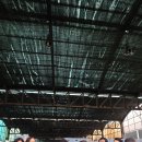 가락시장. 김치배분. 봉사 이미지