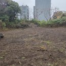 중문동-3 이미지