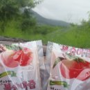 은이농장 이미지