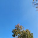 시립철산종합사회복지관 | 구름산 금강정사 - 교육과 복지의 도량