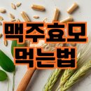부용자연식품 | 맥주효모 먹는법 탈모 효능 비오틴 영양제 섭취 꿀팁 주의사항