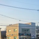 동백캠핑 | [부산 기장] 동백방파제 노지캠핑, 취사 가능한 차박 명소 주말 후기