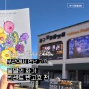 해설이 있는 음악회(고흐 별이 빛나는 밤에) | 부산 가볼만한 전시｜빈센트 반 고흐 레플리카 전 후기 (동구 문화플랫폼) (+주차정보)