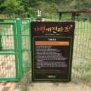 목감시티동물병원 이미지