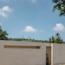 스테이그라피 이미지