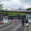 춘천시기초푸드뱅크 | 서울대공원 동물원 가을 나들이, 입장료 운영시간 주차 리프트 유모차 대여
