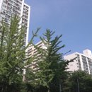 주공아파트 이미지