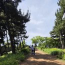 이기사카에어콘스테레오 | 강원도 속초 가볼만한 곳 여행 투어 나들이 2박 3일 인천공항 콜밴 대형택시 기사포함 렌트카