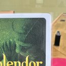 6590 | 스플렌더 (쿠팡) / 보드엠 6590 카드 슬리브 구매 후기