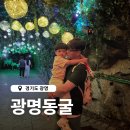 광명동굴 (제2주차장) | 광명동굴 경기도 아이와 여름나들이 가볼만한곳 주차 입장료 할인