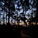 마당바위로 | 2026년 판교마당바위 해맞이행사 후기