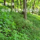 김연숙[그날]전주곡 이미지