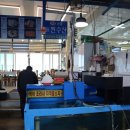 주문진 방파제회센타 이미지