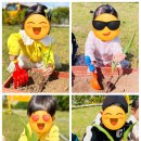 양지1어린이집 이미지