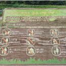 경안천 운학동 이미지