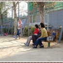 신안증도중학교 이미지