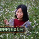에임하이어학원