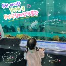 국립해양박물관 | 부산 아이와 가볼만한 곳 영도 부산국립해양박물관 실내 관람 후기