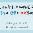 하모리-22 이미지