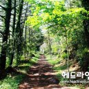 아름다운마을 이미지