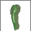 월송리CC IN 코스 이미지