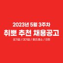 📍 5월 3주차 취뽀 추천 채용공고 (🖤공기업/대기업/중견·중소/인턴) 이미지