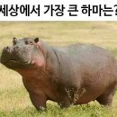 갤러리하마 이미지