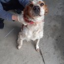 대부황금로 이미지