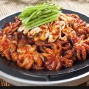 다모이세 이미지