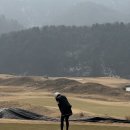 버디텔레콤 | [춘천] 라비에벨 듄스 - 전장은 짧지만 상벌이 확실한, 재미있는 코스