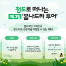 봄나드리투어 이미지