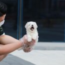 여주-0111 이미지