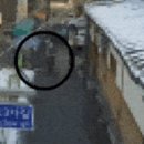 8세 아이 발등 밟고, 178ｍ 더 갔는데…법원 판단은 달랐다 이미지