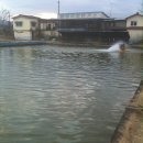 청풍낚시터 이미지