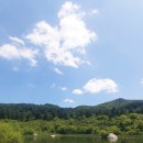 숲향기 목공방 | [공지] 1. 가평 잣향기푸른숲 Jathyanggi Pureunsup Forest Recreation Park