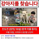 둥이 이미지