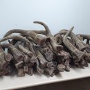 원용농장 이미지