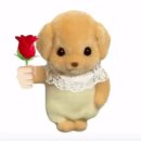[르네로그] 카피바라가 추구미라서 생긴 일화_그레이그리스트밀/멜렉/케타포럭드/비트로드럭드