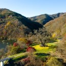 수곡용계로(길안면) 이미지