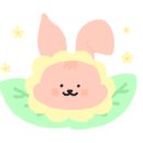 다바디샵
